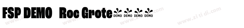FSP DEMO   Roc Grote字体转换